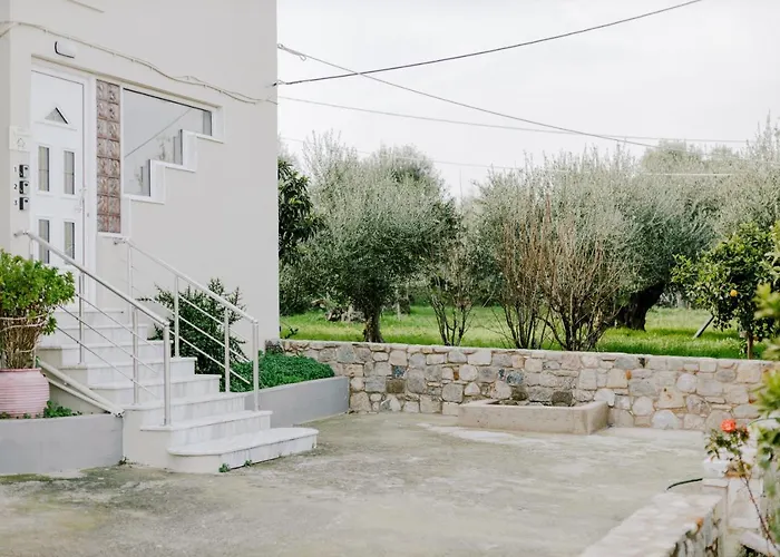 Aelia Prime Experience 1