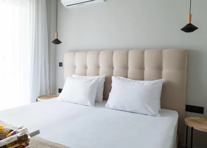 Apartment Aelia Prime Experience 1 *