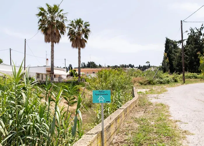 Aelia Prime Experience 1